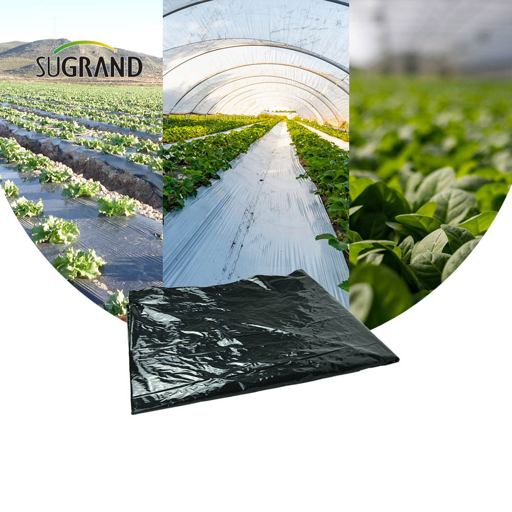 Cheap Factory Price Black Plastic Mulch Biodegradable Uv Mulch Film for Agricultural