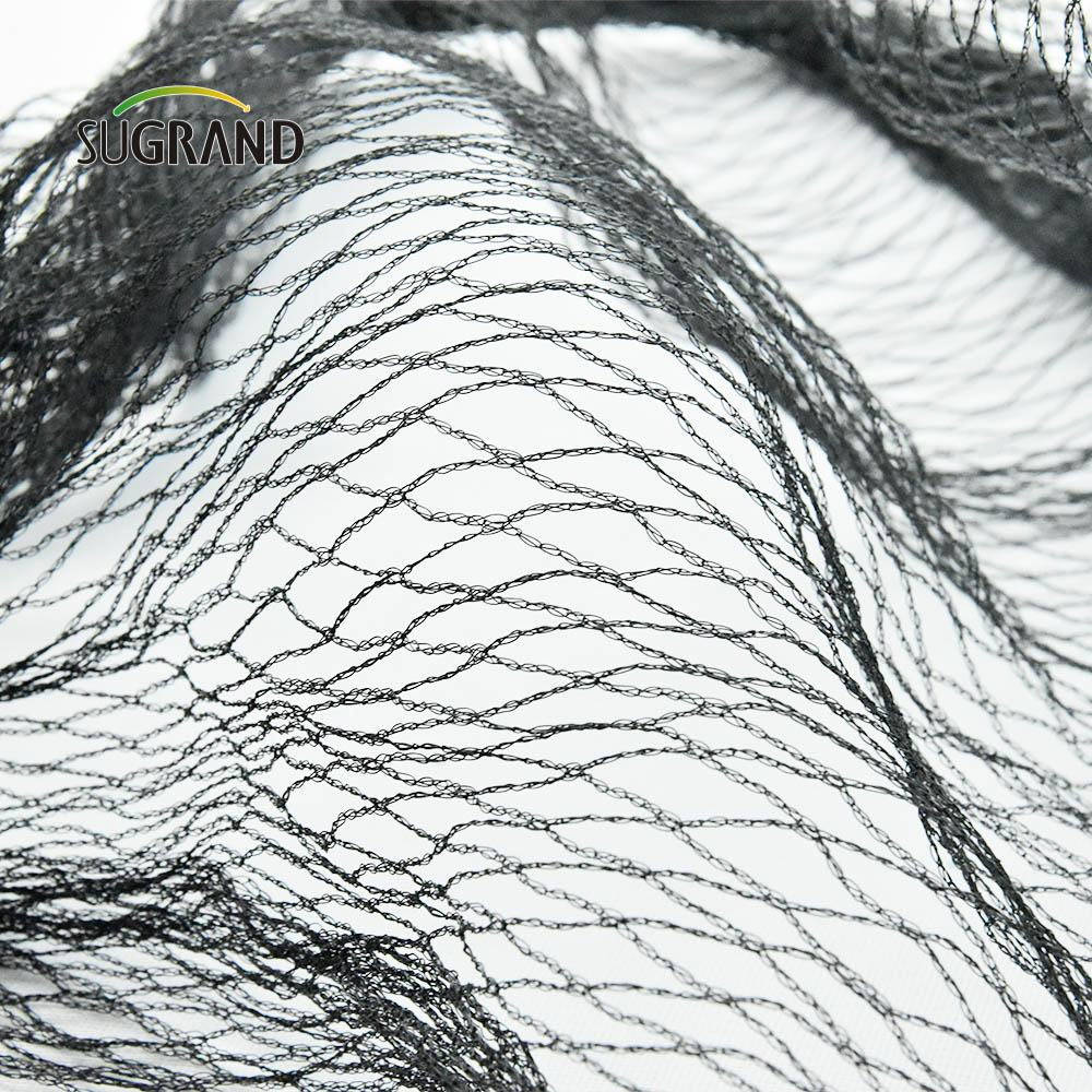 Factory Price Anti Bird Net Knitted Anti Bird Netting for Agricultural