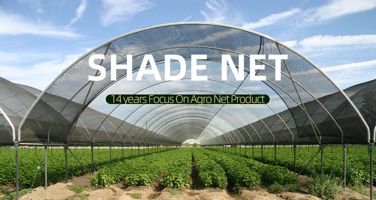 virgin shade netting