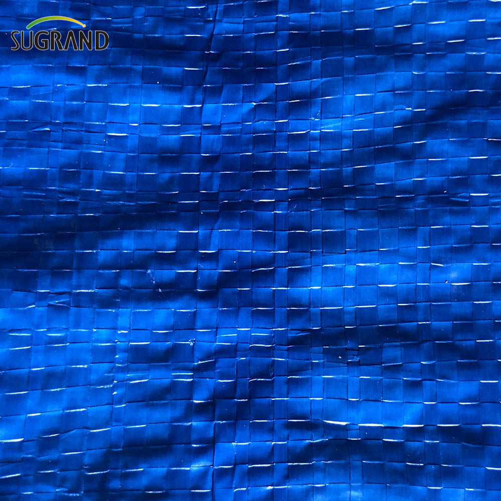 Plastic Canvas Waterproof PE Blue-green Tarpaulin for Agriculture