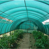 50% 60% 70% Black Uv Resistant Shade Netting For Agriculture