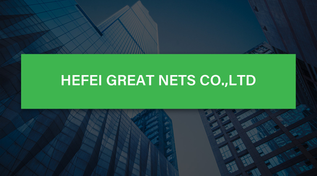 HEFEI GREAT NETS CO