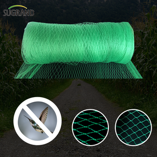 Argentine Market Green Bird Protection Net Nylon Mist Bird Nets