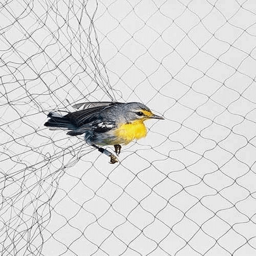 anti bird netting