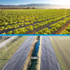 Polypropylene Ground Cover