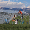 anti-fog greenhouse film