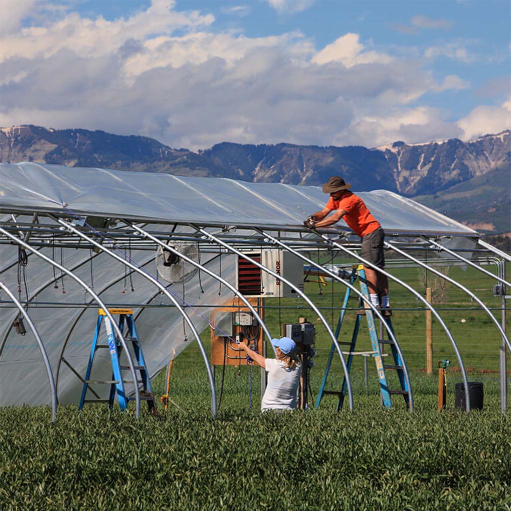anti-fog greenhouse film