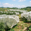 HDPE insect net