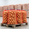 onion bag