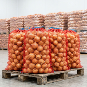 onion bag