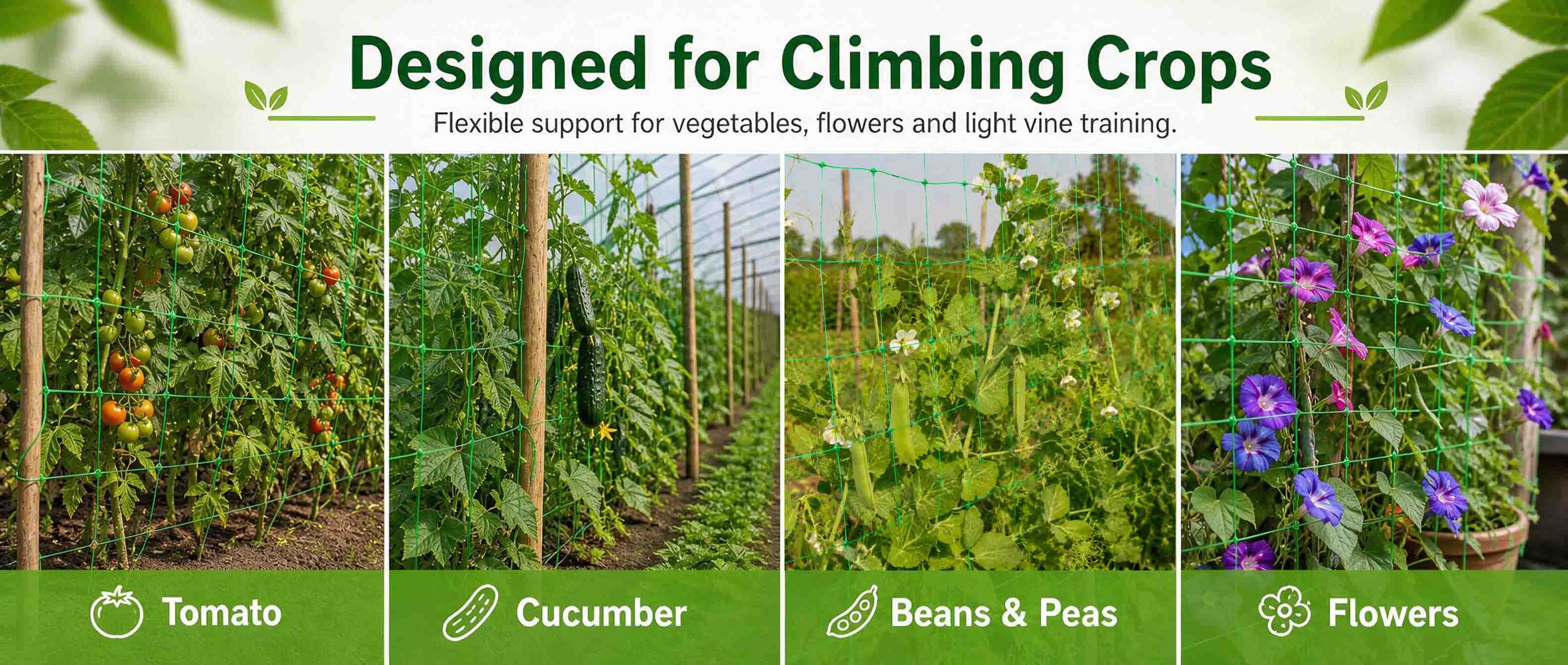 Plant Support Net Applications.jpg