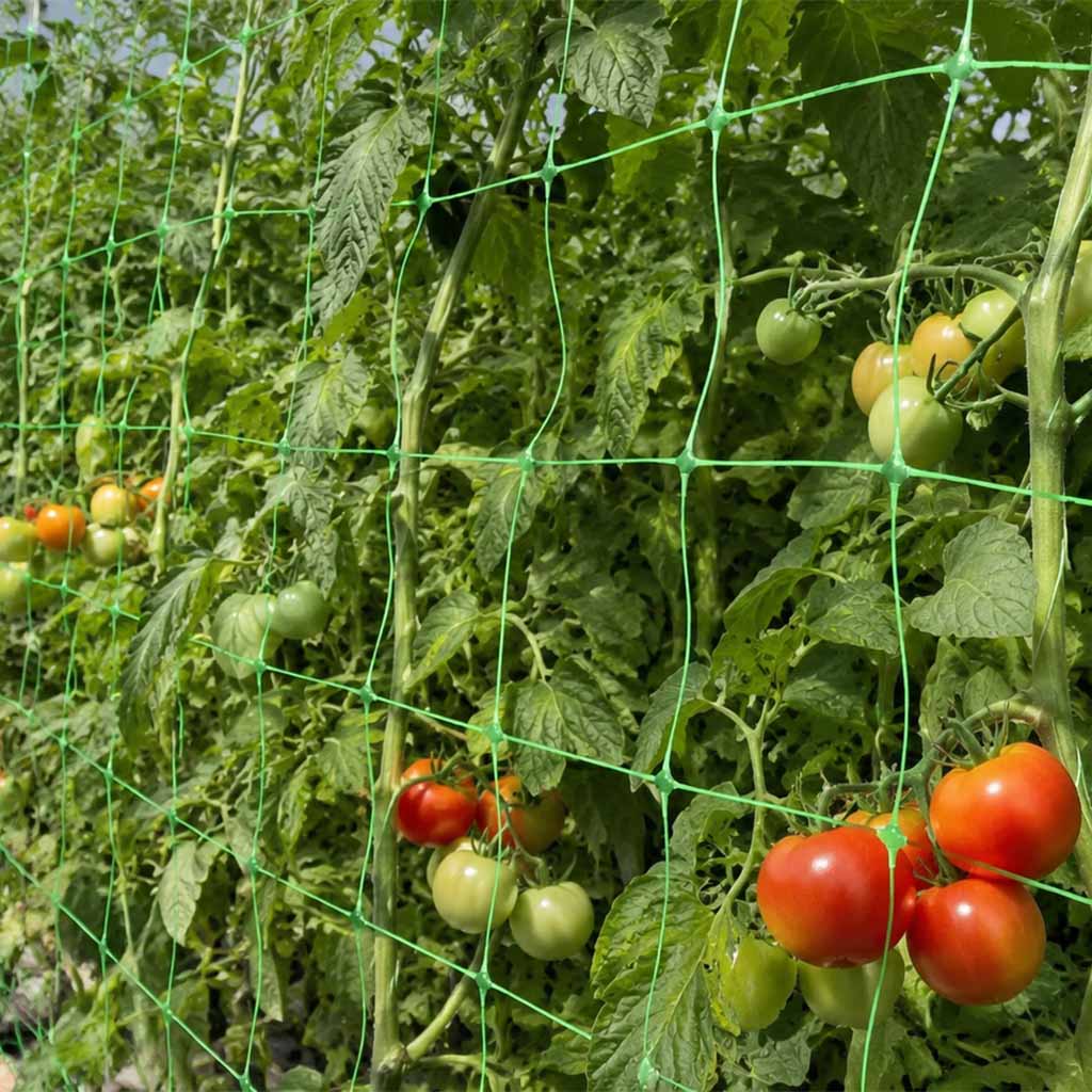 plant support net manufacturer
