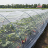 40 mesh insect net