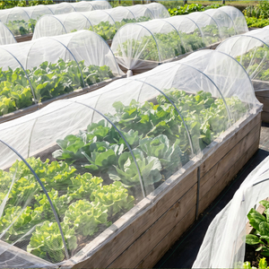 anti insect net