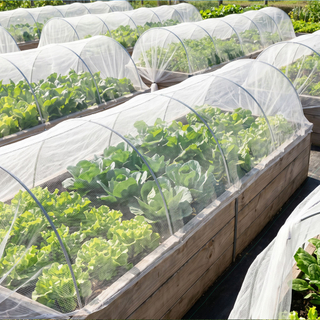 Wholesale UV Stabilized HDPE Anti Insect Net