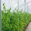 trellis net supplier