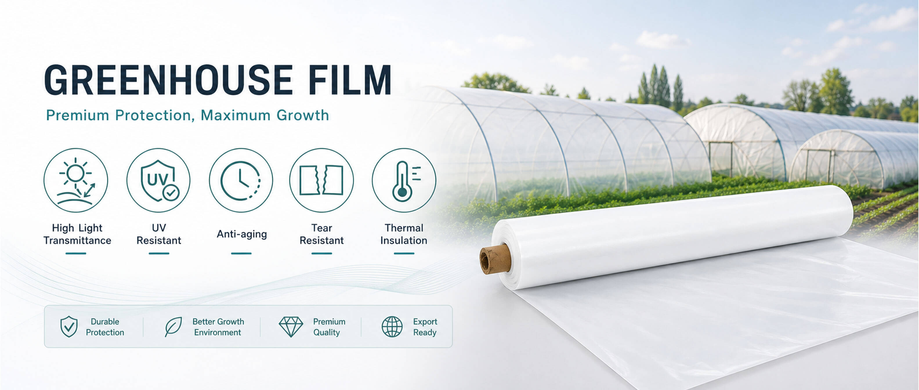 greenhouse film.jpg