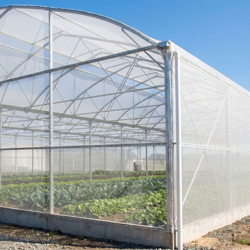 insect netting.jpg