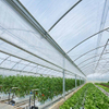 greenhouse film manufacturer