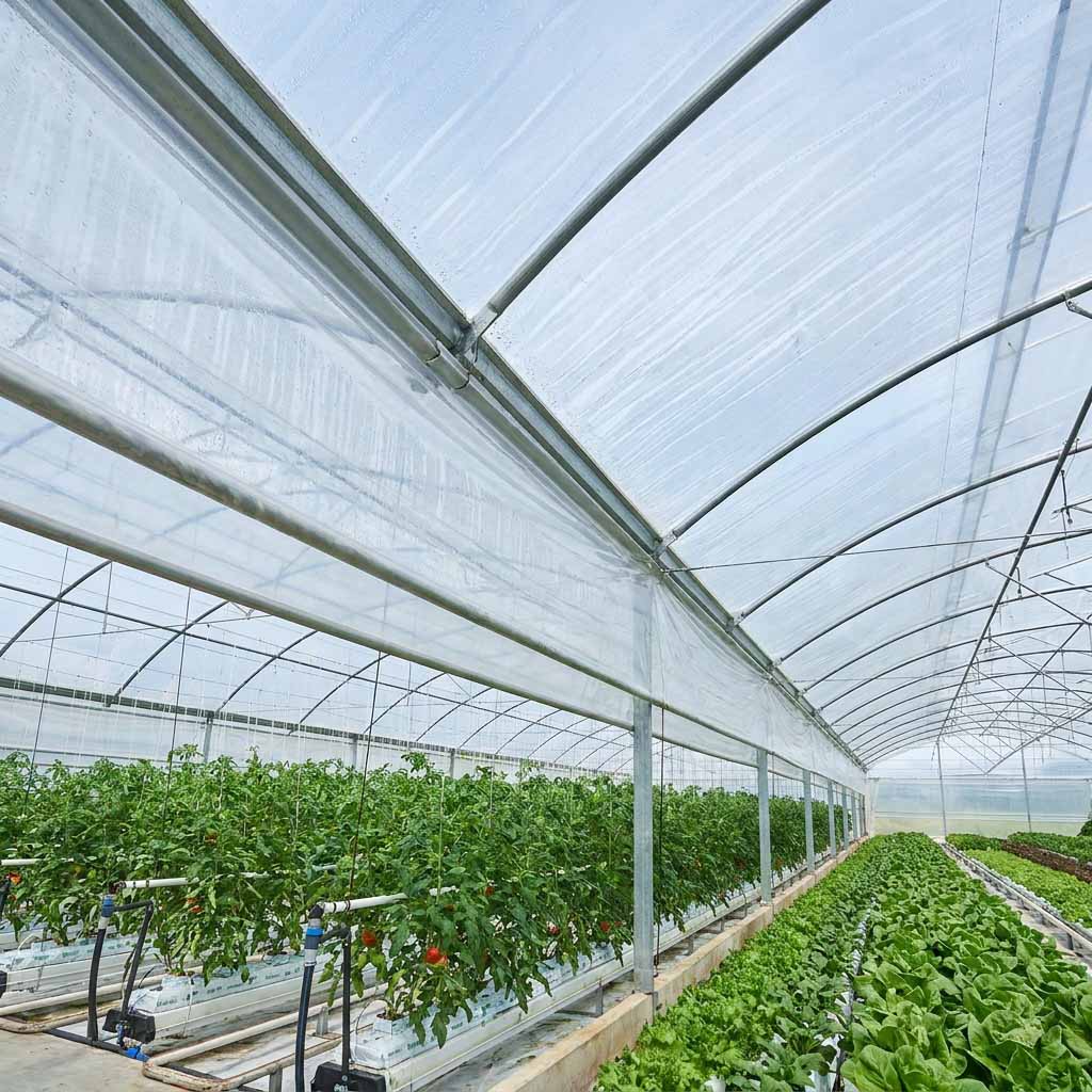 greenhouse film manufacturer