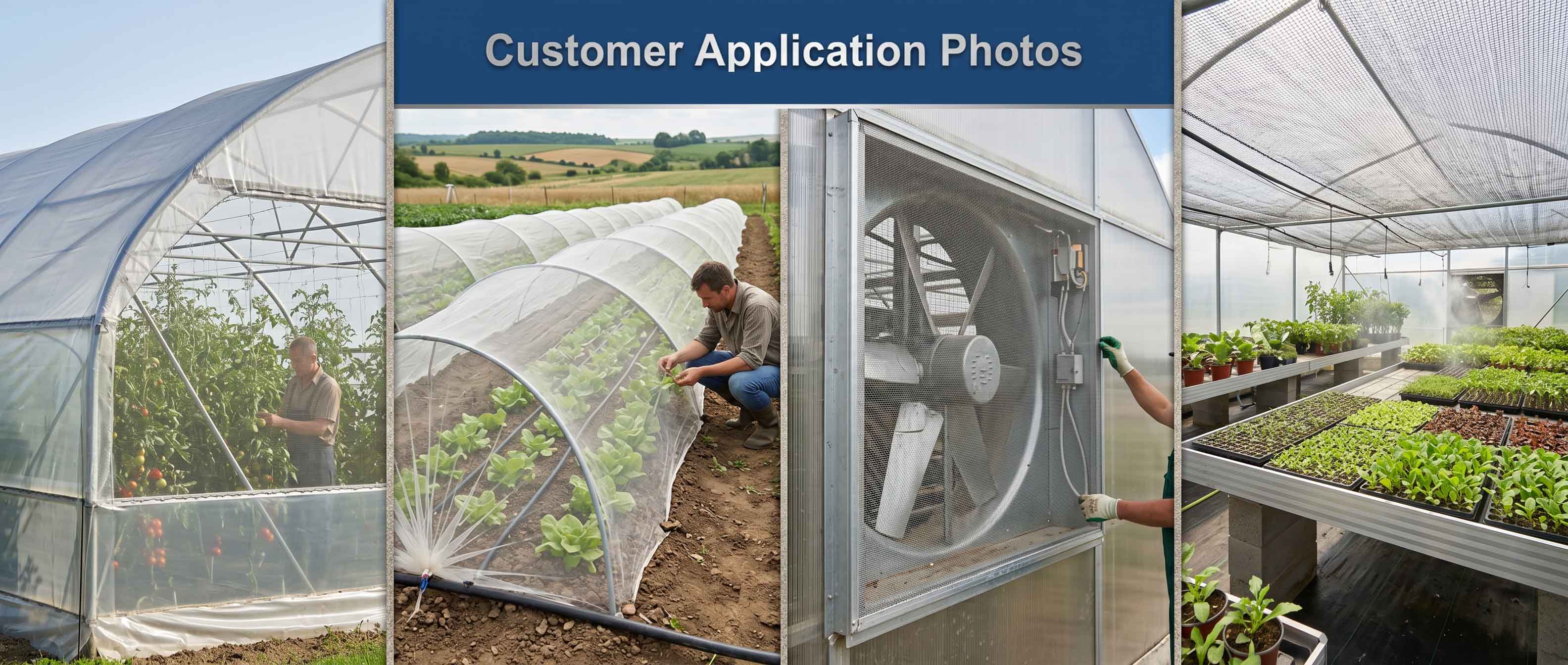 insect netting.jpg