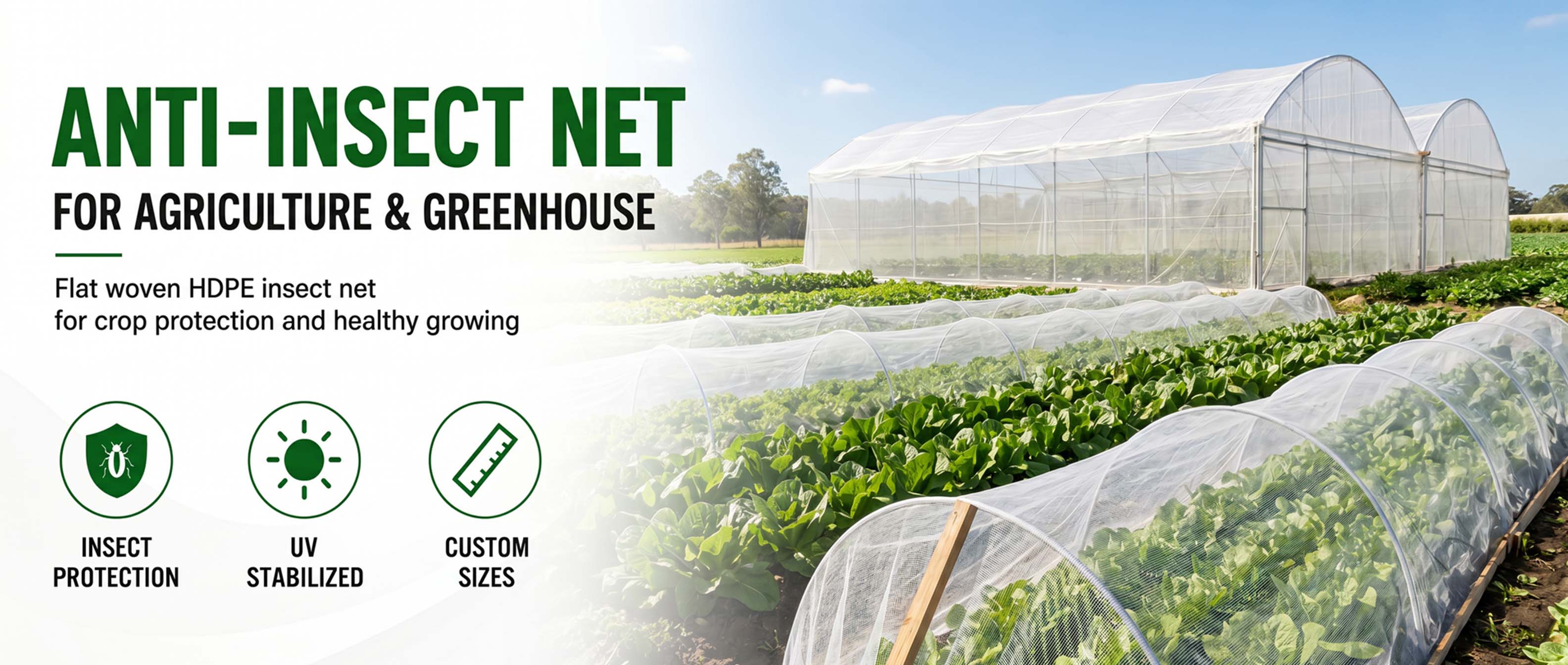 anti insect net.jpg