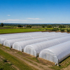 greenhouse film