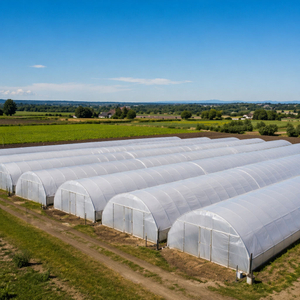 greenhouse film