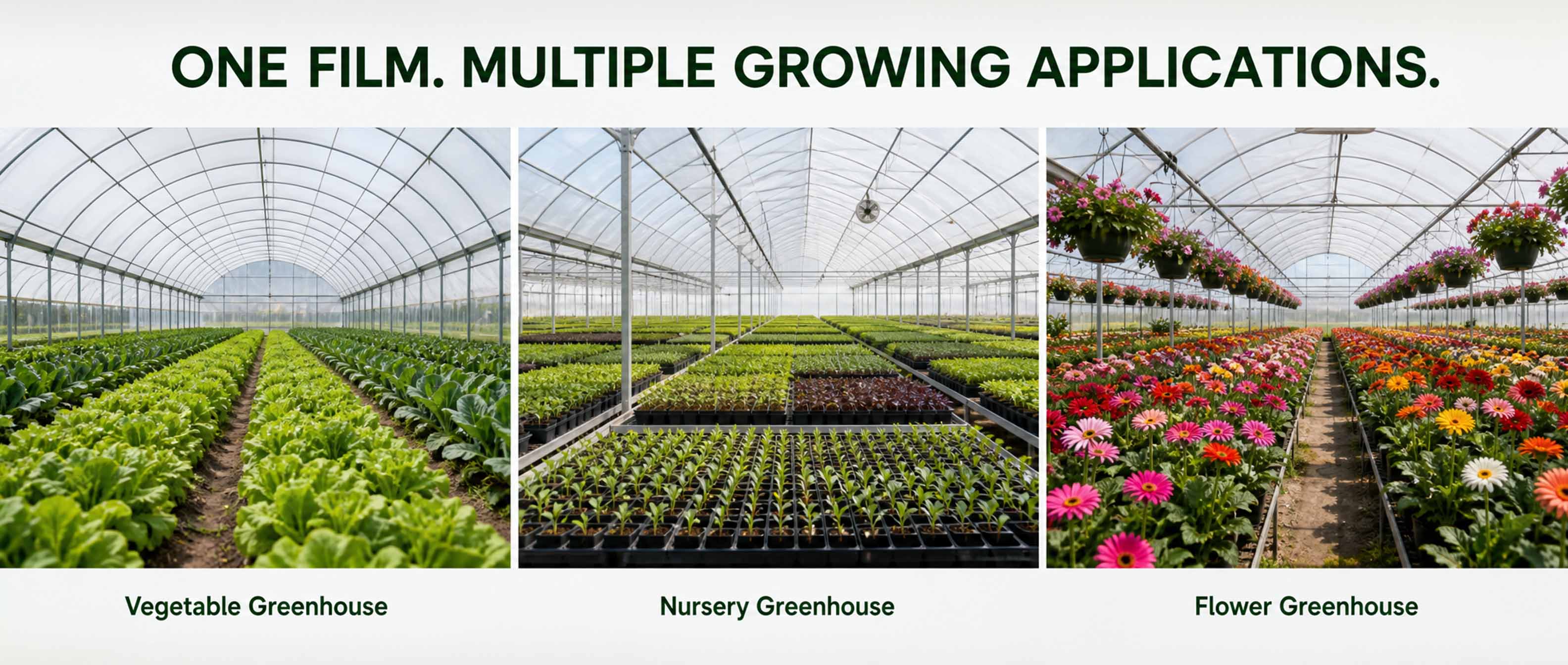 Applications of Greenhouse Film